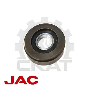 Ролик мачты JAC CPCD15-18