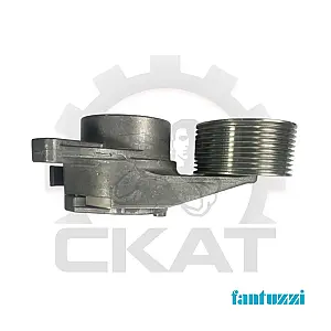 Натяжитель ремня генератора Fantuzzi CS45KM